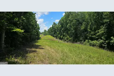 1693 S McDonough Road, Griffin, GA 30224 - Photo 22