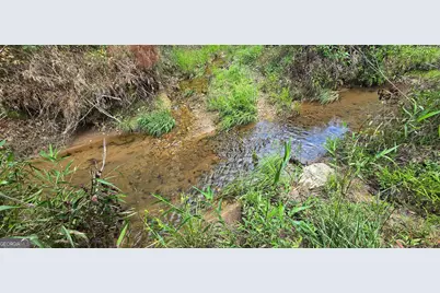 1693 S McDonough Road, Griffin, GA 30224 - Photo 44