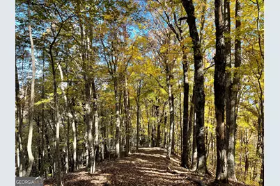 0 Royal Oaks Trail, Young Harris, GA 30582 - Photo 16