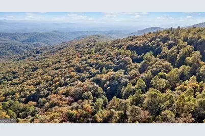 Lot 02 Upper Sassafras Parkway, Jasper, GA 30143 - Photo 4