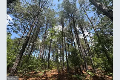 850 Buttermilk Road, Sylvania, GA 30467 - Photo 1