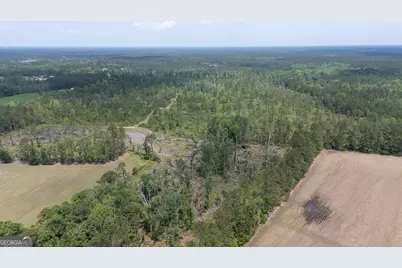 0 Old Louisville Road #LOT 1, Guyton, GA 31312 - Photo 12