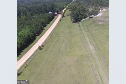 0 Ben Grady Collins Road #LOT 1, Portal, GA 30450 - Photo 2