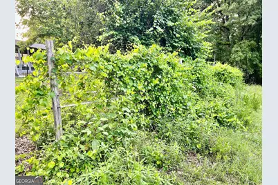 3272 Horace Road, Bowman, GA 30624 - Photo 36