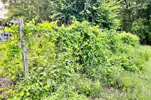 3272 Horace Rd, Bowman, GA 30624 - Photo 36