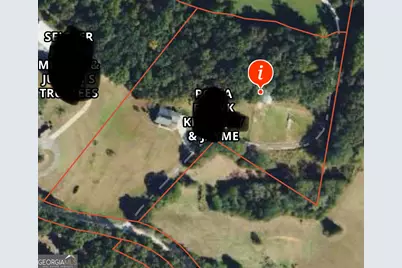 3272 Horace Road, Bowman, GA 30624 - Photo 10