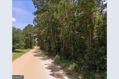 6.80 Ac Scarlet Road, Lyons, GA 30436 - Photo 2