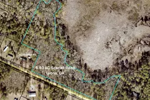 6 80 Ac Scarlet Rd, Lyons, GA 30436 - Photo 1