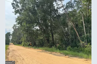 6.80 Ac Scarlet Road, Lyons, GA 30436 - Photo 8
