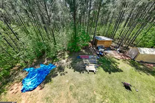 1755 Hunsinger Rd, Shiloh, GA 31826 - Photo 26