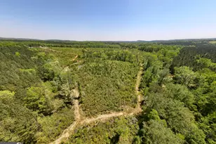 1755 Hunsinger Rd, Shiloh, GA 31826 - Photo 38