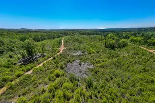 1755 Hunsinger Rd, Shiloh, GA 31826 - Photo 48