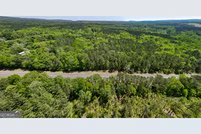 1755 Hunsinger Road, Shiloh, GA 31826 - Photo 30