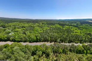 1755 Hunsinger Rd, Shiloh, GA 31826 - Photo 30