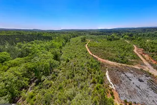 1755 Hunsinger Rd, Shiloh, GA 31826 - Photo 46