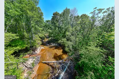 1755 Hunsinger Road, Shiloh, GA 31826 - Photo 62