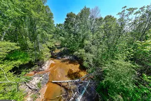 1755 Hunsinger Rd, Shiloh, GA 31826 - Photo 62