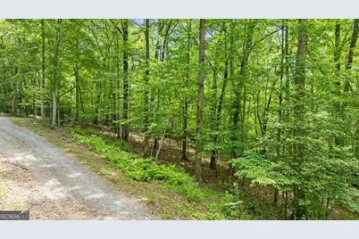 Lt 16 Navajo Trail, McCaysville, GA 30555 - Photo 30