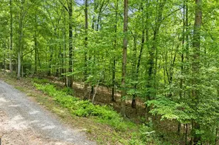 Lt 16 Navajo Trail, McCaysville, GA 30555 - Photo 30