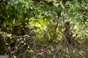 44 Big Sky Dr, Hamilton, GA 31811 - Photo 20