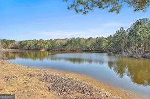 395 W McIntosh Rd, Brooks, GA 30205 - Photo 64