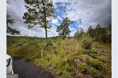 35 Arbor Creek, Mineral Bluff, GA 30559 - Photo 2