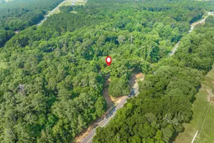 3222 US Hwy 80 W, Dublin, GA 31021 - Photo 44