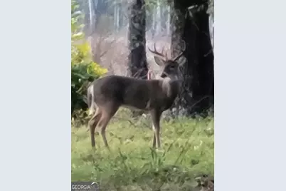 1095 Jacksonville Highway, Fitzgerald, GA 31750 - Photo 38