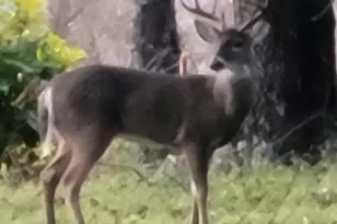 1095 Jacksonville Hwy, Fitzgerald, GA 31750 - Photo 38