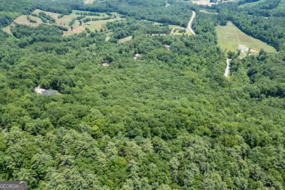 Lot 6 Wild Turkey #64, Young Harris, GA 30582 - Photo 28