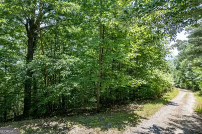 Lot 6 Wild Turkey #64, Young Harris, GA 30582 - Photo 12