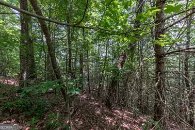 Lot 6 Wild Turkey #64, Young Harris, GA 30582 - Photo 10