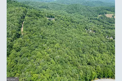 Lot 6 Wild Turkey #64, Young Harris, GA 30582 - Photo 24