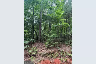 0 Nimblewill Creek Road, Dahlonega, GA 30533 - Photo 2