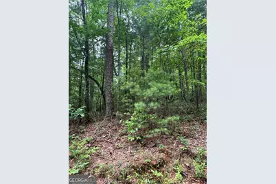 0 Nimblewill Creek Road, Dahlonega, GA 30533 - Photo 6