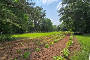 2037 Jeff Davis Rd, Thomaston, GA 30286 - Photo 48