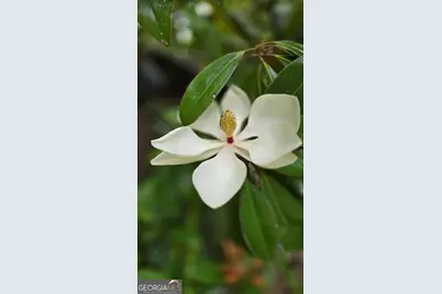 2037 Jeff Davis Road, Thomaston, GA 30286 - Photo 50