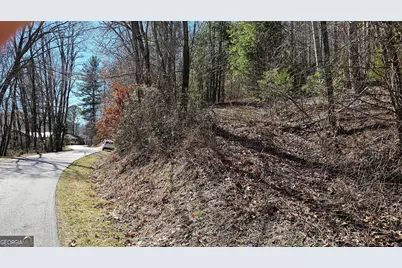 0 Saddleback Circle, Sky Valley, GA 30537 - Photo 10