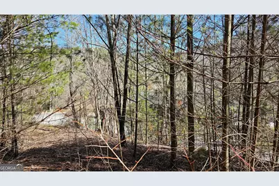 0 Saddleback Circle, Sky Valley, GA 30537 - Photo 12