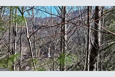 0 Saddleback Circle, Sky Valley, GA 30537 - Photo 14