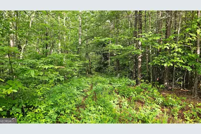 0 Toole Street, Clayton, GA 30525 - Photo 12