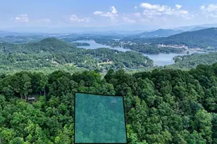 1795 Ivy Mountain Rd, Hiawassee, GA 30546 - Photo 50