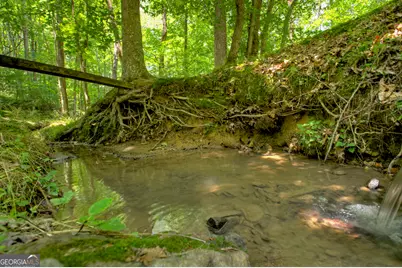 1398 Antioch Church Road, Talking Rock, GA 30175 - Photo 56