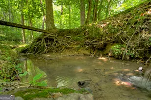 1398 Antioch Church Rd, Talking Rock, GA 30175 - Photo 56