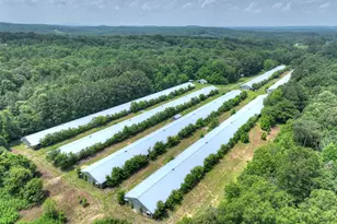 1398 Antioch Church Rd, Talking Rock, GA 30175 - Photo 66