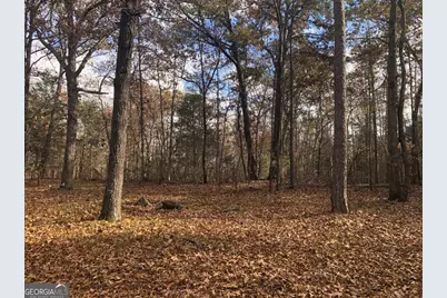 209 Alice Moss Lane, Alto, GA 30510 - Photo 10