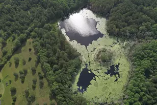 736 Arnett School Rd, Sylvania, GA 30467 - Photo 1