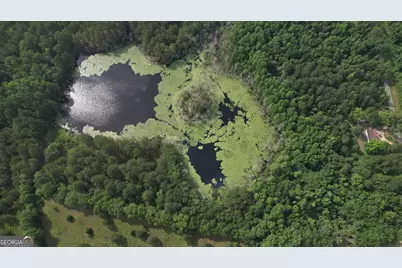 736 Arnett School Road, Sylvania, GA 30467 - Photo 2