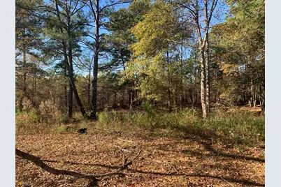 10142 Washington Street, Covington, GA 30014 - Photo 8