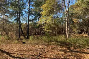 10142 Washington St, Covington, GA 30014 - Photo 8